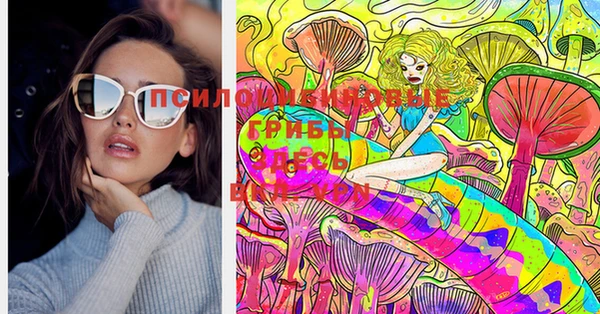 меф Богородицк